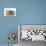 Two Baby Guinea Pigs-Mark Taylor-Photographic Print displayed on a wall