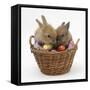 Two Baby Lionhead-Cross Rabbits in a Wicker Basket with Easter Eggs-Mark Taylor-Framed Stretched Canvas