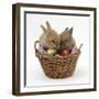 Two Baby Lionhead-Cross Rabbits in a Wicker Basket with Easter Eggs-Mark Taylor-Framed Photographic Print