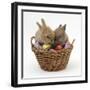 Two Baby Lionhead-Cross Rabbits in a Wicker Basket with Easter Eggs-Mark Taylor-Framed Photographic Print