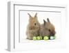 Two Baby Lionhead-Cross Rabbits with Easter Eggs-Mark Taylor-Framed Photographic Print