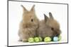 Two Baby Lionhead-Cross Rabbits with Easter Eggs-Mark Taylor-Mounted Photographic Print