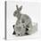 Two Baby Silver Rabbits in a Gift Bag-Mark Taylor-Stretched Canvas