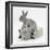 Two Baby Silver Rabbits in a Gift Bag-Mark Taylor-Framed Photographic Print