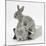 Two Baby Silver Rabbits in a Gift Bag-Mark Taylor-Mounted Photographic Print