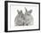 Two Baby Silver Rabbits-Mark Taylor-Framed Photographic Print