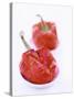 Two Baked Peppers in Small Dishes-Stefan Braun-Stretched Canvas