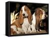 Two Bassett Hound Pups-Lynn M. Stone-Framed Stretched Canvas