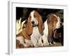 Two Bassett Hound Pups-Lynn M. Stone-Framed Photographic Print