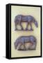 Two Battered Lead Models of Grazing Horses Lying-Den Reader-Framed Stretched Canvas