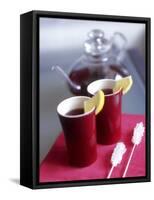 Two Beakers of Fruit Tea with Lemon Wedges, Sugar Sticks-Anita Oberhauser-Framed Stretched Canvas