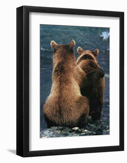 Two Bear Cubs-Art Wolfe-Framed Giclee Print