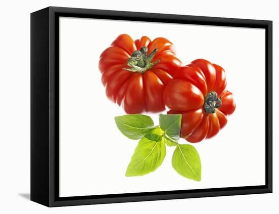 Two Beefsteak Tomatoes with Basil Leaves-Janez Puksic-Framed Stretched Canvas
