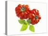 Two Beefsteak Tomatoes with Basil Leaves-Janez Puksic-Stretched Canvas