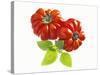 Two Beefsteak Tomatoes with Basil Leaves-Janez Puksic-Stretched Canvas
