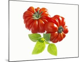 Two Beefsteak Tomatoes with Basil Leaves-Janez Puksic-Mounted Photographic Print
