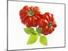 Two Beefsteak Tomatoes with Basil Leaves-Janez Puksic-Mounted Photographic Print