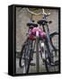 Two Bicycles with a Flower Chain, Amsterdam, Netherlands, Europe-Amanda Hall-Framed Stretched Canvas