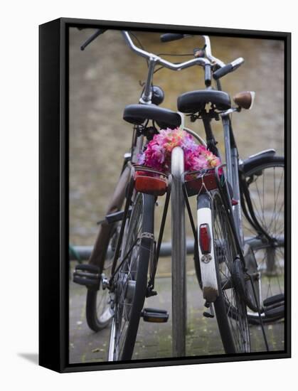 Two Bicycles with a Flower Chain, Amsterdam, Netherlands, Europe-Amanda Hall-Framed Stretched Canvas