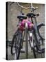 Two Bicycles with a Flower Chain, Amsterdam, Netherlands, Europe-Amanda Hall-Stretched Canvas