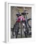 Two Bicycles with a Flower Chain, Amsterdam, Netherlands, Europe-Amanda Hall-Framed Photographic Print