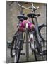 Two Bicycles with a Flower Chain, Amsterdam, Netherlands, Europe-Amanda Hall-Mounted Photographic Print
