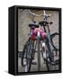 Two Bicycles with a Flower Chain, Amsterdam, Netherlands, Europe-Amanda Hall-Framed Stretched Canvas