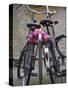 Two Bicycles with a Flower Chain, Amsterdam, Netherlands, Europe-Amanda Hall-Stretched Canvas