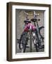 Two Bicycles with a Flower Chain, Amsterdam, Netherlands, Europe-Amanda Hall-Framed Photographic Print