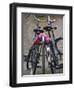 Two Bicycles with a Flower Chain, Amsterdam, Netherlands, Europe-Amanda Hall-Framed Photographic Print