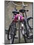 Two Bicycles with a Flower Chain, Amsterdam, Netherlands, Europe-Amanda Hall-Mounted Photographic Print