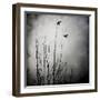 Two Bird Flying Near a Tree-Luis Beltran-Framed Photographic Print