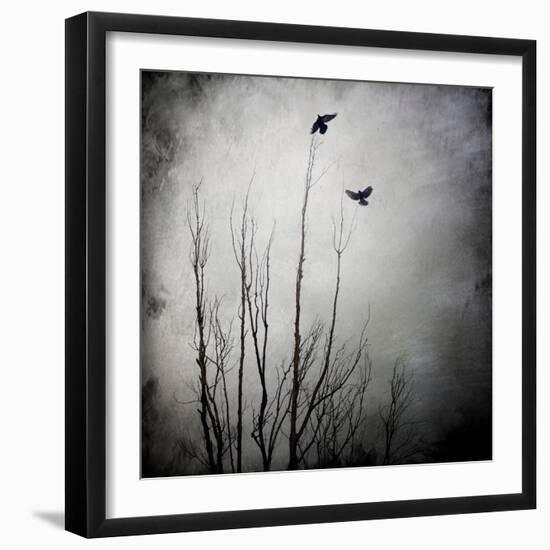 Two Bird Flying Near a Tree-Luis Beltran-Framed Photographic Print