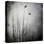 Two Bird Flying Near a Tree-Luis Beltran-Stretched Canvas