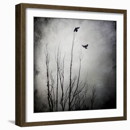 Two Bird Flying Near a Tree-Trigger Image-Framed Photographic Print