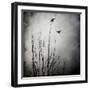 Two Bird Flying Near a Tree-Trigger Image-Framed Photographic Print