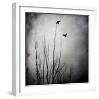 Two Bird Flying Near a Tree-Trigger Image-Framed Photographic Print