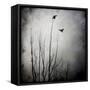 Two Bird Flying Near a Tree-Trigger Image-Framed Stretched Canvas