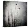 Two Bird Flying Near a Tree-Trigger Image-Stretched Canvas