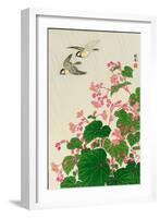 Two Birds and Begonia in Rain-Koson Ohara-Framed Giclee Print