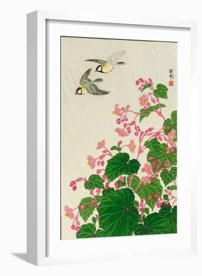 Two Birds and Begonia in Rain-Koson Ohara-Framed Giclee Print