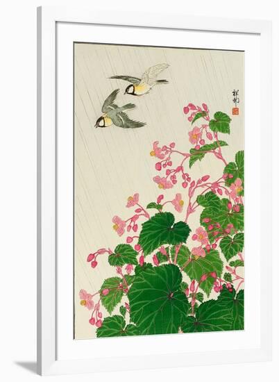 Two Birds and Begonia in Rain-Koson Ohara-Framed Giclee Print