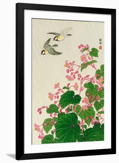 Two Birds and Begonia in Rain-Koson Ohara-Framed Giclee Print
