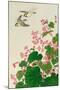 Two Birds and Begonia in Rain-Koson Ohara-Mounted Giclee Print
