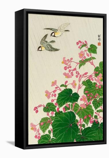 Two Birds and Begonia in Rain-Koson Ohara-Framed Stretched Canvas