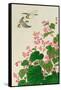 Two Birds and Begonia in Rain-Koson Ohara-Framed Stretched Canvas