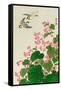 Two Birds and Begonia in Rain-Koson Ohara-Framed Stretched Canvas