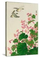 Two Birds and Begonia in Rain-Koson Ohara-Stretched Canvas