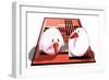 Two Birds On Albers Rug-Thomas MacGregor-Framed Giclee Print