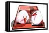 Two Birds On Albers Rug-Thomas MacGregor-Framed Stretched Canvas